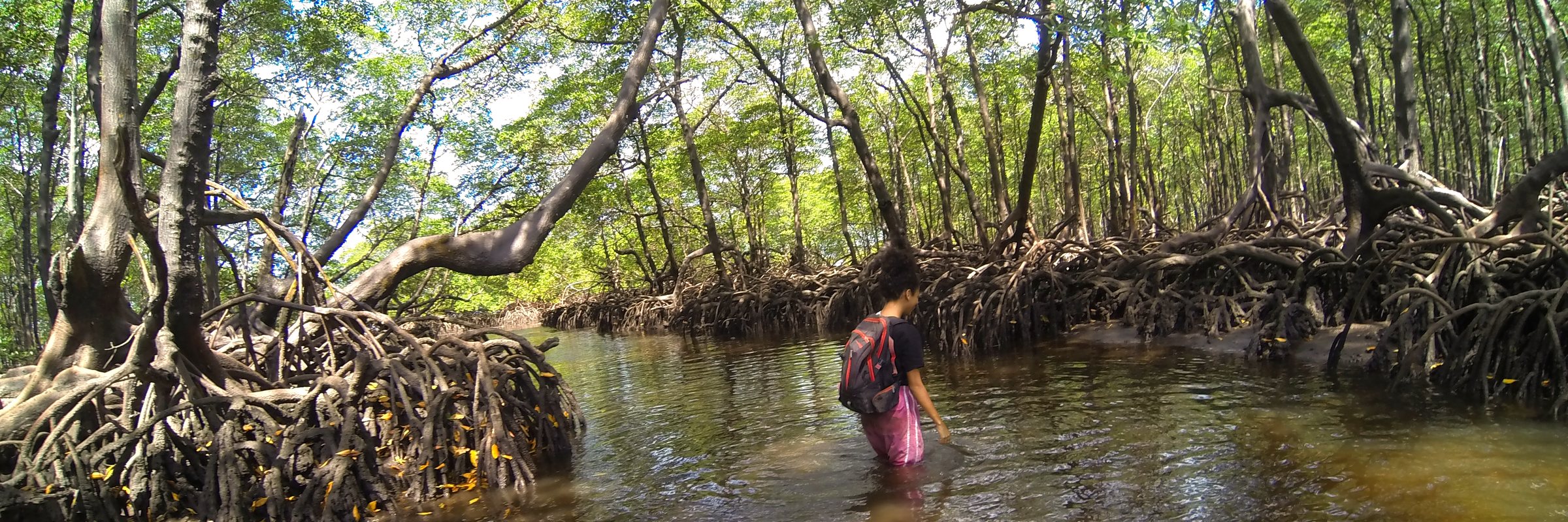 Francielly during fieldwork in the mangrove